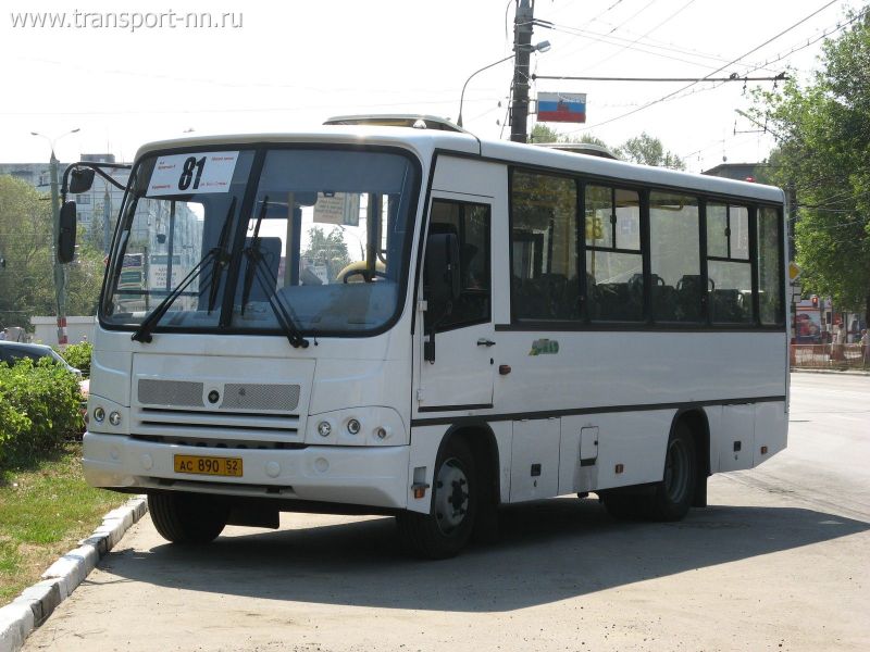 ПАЗ-3204 на маршруте т-81